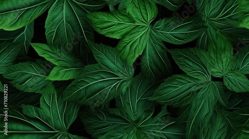  a close up of a bunch of green leaves on a black background with space for a text or a logo on the bottom right corner of the image.