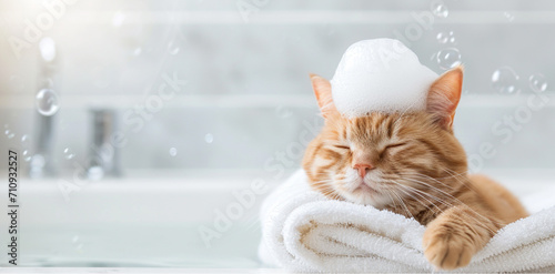 Adorable cute pet taking a bath and covered in towel