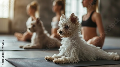 fitness with pups and yoga for girls.Young girl on yoga mats, bright yoga studio