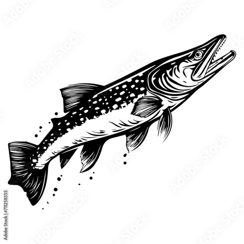 northern pike fish black silhouette logo svg vector, pike fish icon illustration.