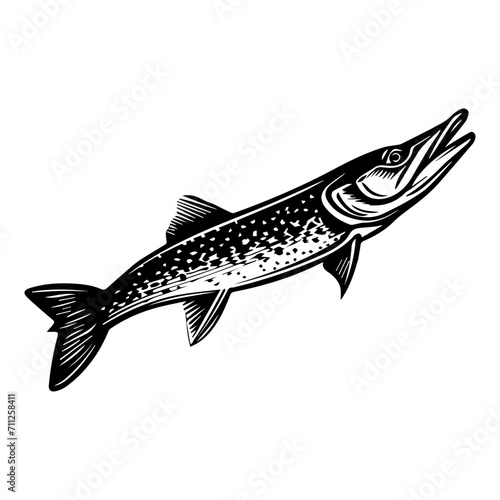 northern pike fish black silhouette logo svg vector, pike fish icon illustration.