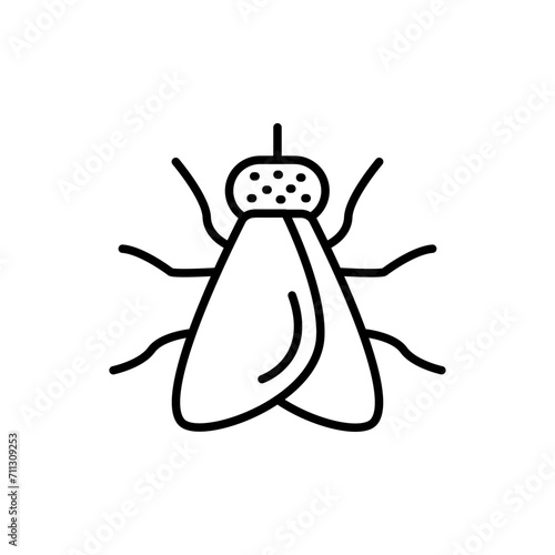 Fly outline icons, insect minimalist vector illustration ,simple transparent graphic element .Isolated on white background