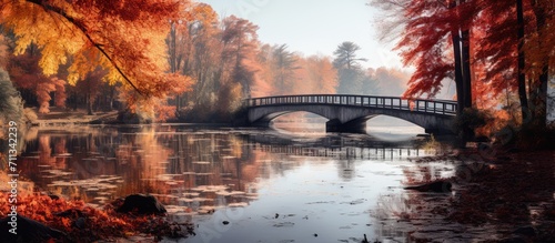 Lake bridge in autumn forest, Autumn nature landscape, Calm bright light