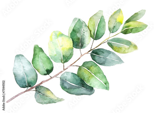 Namalowany akwarelą liść ilustracja