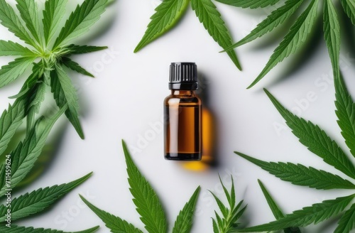 flatlay of cannabis oil bottle among leaves, top view. medical and cosmetic usage of marijuana.