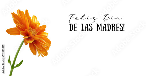 A single orange flower with the words feliz dia de las madres. It means Happy Mother's day in Spanish.