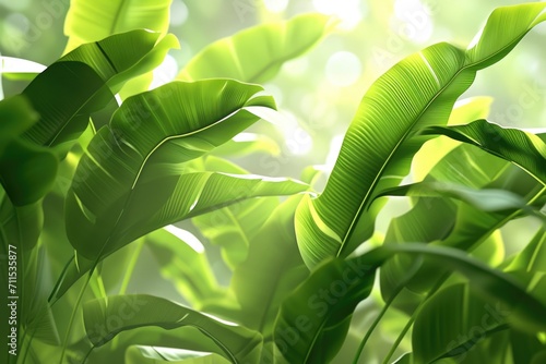 green ribbed plantain plant beautiful floral background 3d render