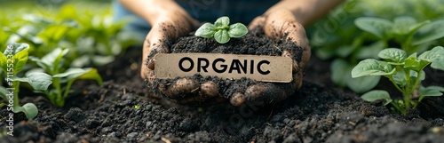 The soil and hands of a farmer in work gloves hold a sign with the inscription "ORGANIC" and a young plant. Concept: Growing and farming methods. Ecological products 