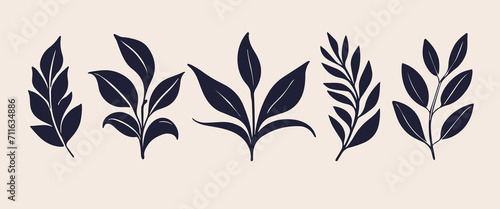  Beautiful decorative leaf silhouette. Simple stencils. Silhouette leaves, plant design. 