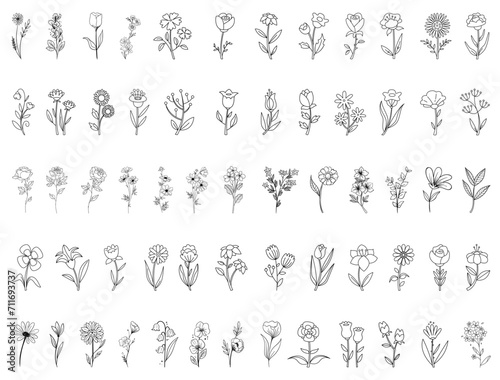 Botanical Flowers silhouette vector art