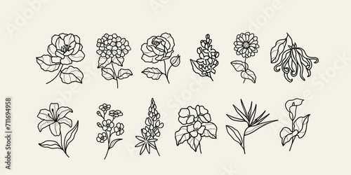 Line art flowers. Camellia, hydrangea, rose, lilacs, zinnia, ylang-ylang, lily, forget-me-not, lupine, begonia, strelitzia, calla lily