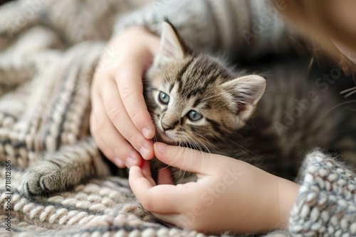 Cute little tabby kitten with child's hands. 
