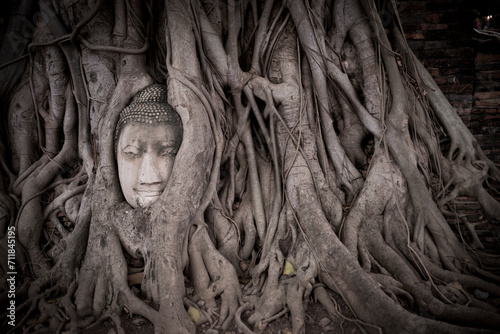a statue sinking into new tree roots Ayutthaya Thailand Sukhothai