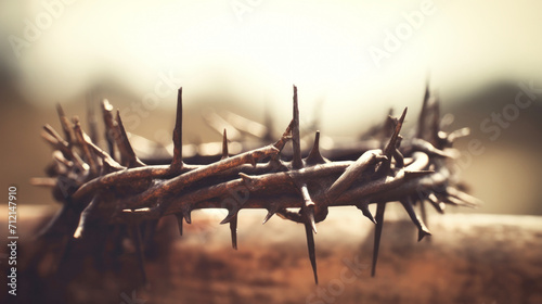 Crown of thorns with shadow of the royal crown - Passion and triumph of Jesus. Easter.