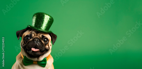 St. Patrick's Day. Pug dog in a leprechaun hat on a green background. St Patricks day pug puppy dog sitting down with green top hat. Copy space.