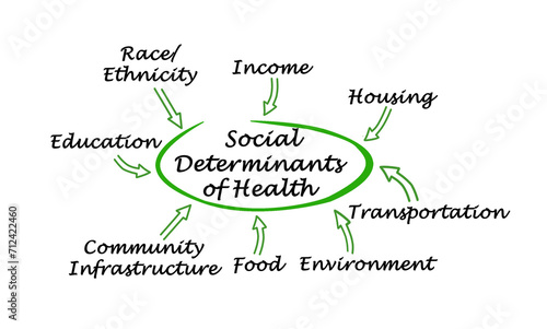 Eight Social Determinants of Health