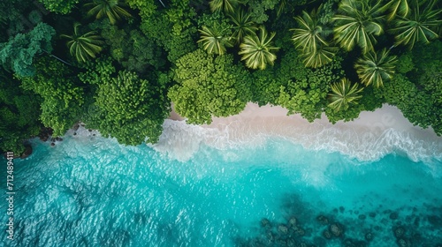 A tropical rainforest canopy meeting the edge of a white sandy beach, where emerald green meets turquoise blue in a seamless blend of terrestrial and marine beauty