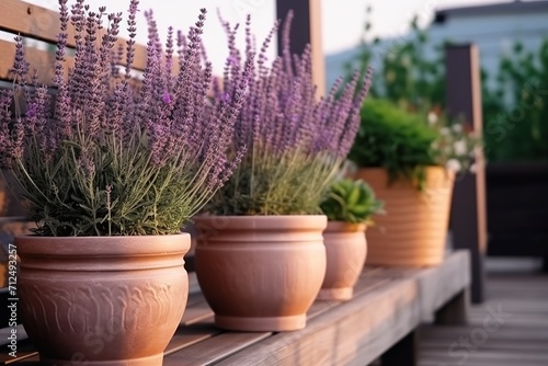 Pots of lavender on the terrace background illustration.