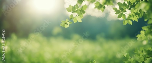 summer and spring template herbal background In gently blue And light green blurred tones