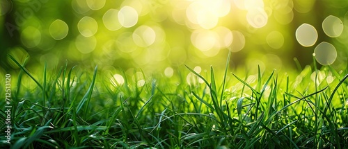 Spring or Summer Green Grass field with sunny bokeh background