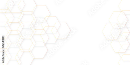 Abstract white and grey color hexagonal geometric background. Digital art illustrator background. Hexagon shape, white, shiny black. honeycomb white Background, shadow texture.