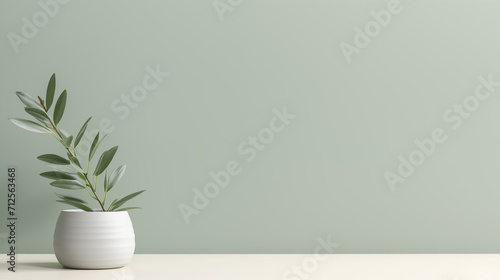 plant in a white vase. 3d rendering of a vase with olive branches against a green wall