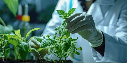 Close-up of a scientist testing GMO plant in biological laboratory