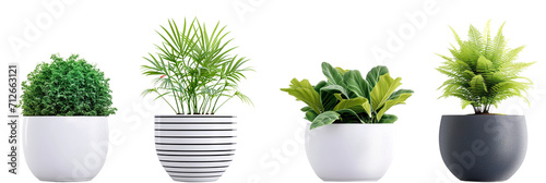 Four different flower pots with houseplants on transparent background, PNG