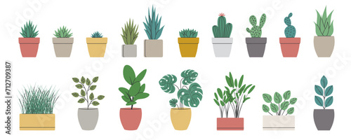 Set of decorative houseplants. Collection trendy plants and nature homemade flowers in pot interior decoration in flat style. Vector illustration on white background
