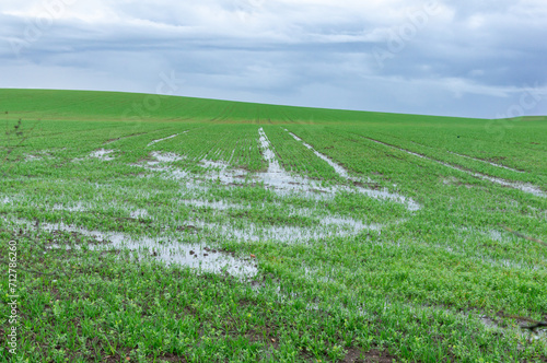 Fertile lands soaked: Waterlogged field under a cloudy sky.