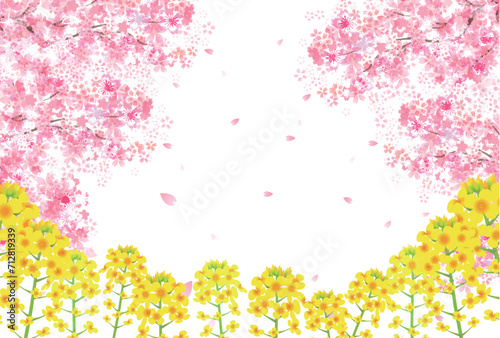 桜 春 菜の花 背景