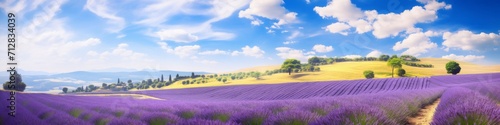 Rolling hills of lavender fields in full bloom, creating a stunning panorama of color under the midday sun