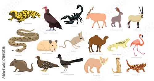 Different types of Desert Animals set cartoon collection, various hot environment habitat species animals wildlife, vector illustration, suitable for education poster infographic guide catalog flat