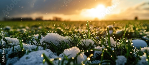 Macro photo of large hailstones in a meadow. Copy space image. Place for adding text