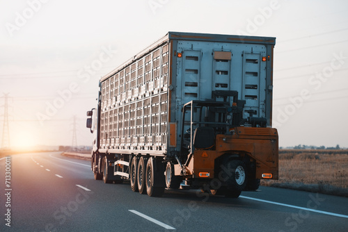 Live Stock Cargo Truck With A Forklift. Livestock Secure Transportation. Animal Carrier Special Purpose Vehicle On A Highway 