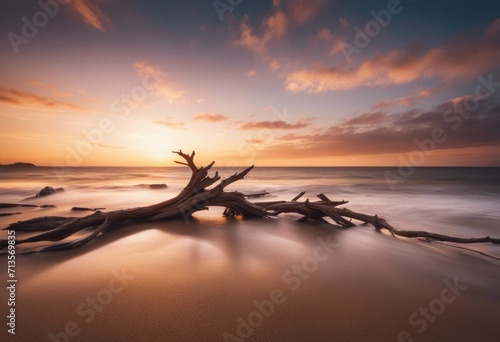 AI generated illustration of a driftwood at sunset