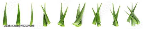 Aloe Vera. Fresh green leaves isolated on white, collection