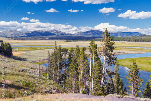 Hayden Valley and Yellowstone River landscape in the mountain wilderness of Yellowstone National Park Wyoming. 