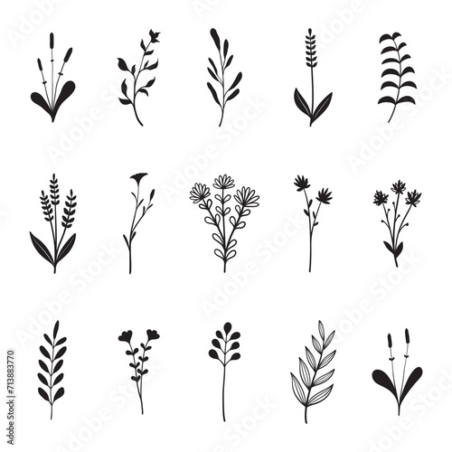 plant hand drawn vector set 