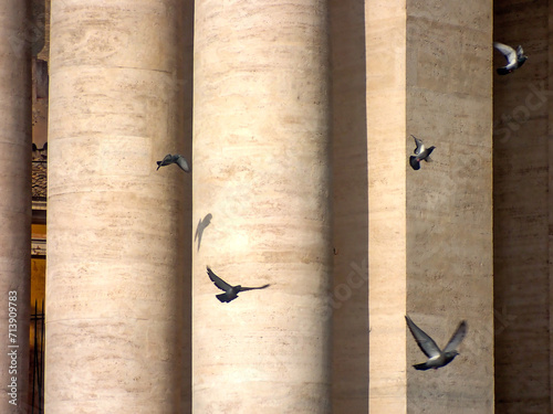 Colombi tra il colonnato della Basilica di San Pietro nella Città del Vaticano 2067