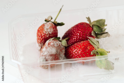 Red rotten strawberries with white mold in a plastic container on a white background. Improper storage, expired shelf life, spoiled berry