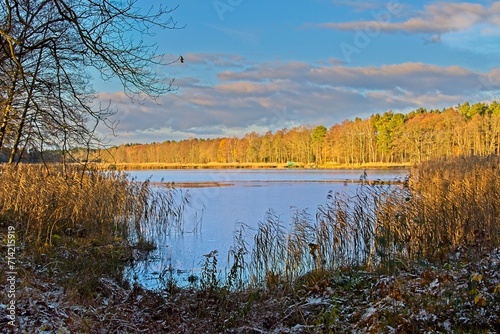Jesienny zachód słońca nad jeziorem. Słoneczna pogoda, zachodzące z lewej strony kadru słońce oświetla drzewa rosnące na brzegu jeziora.