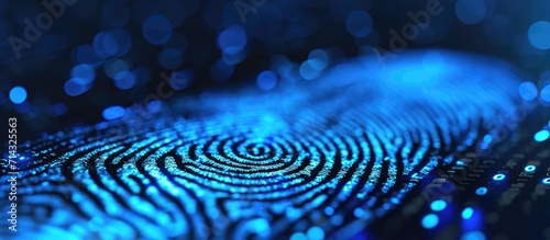 Fingerprints used for verification in online transactions.