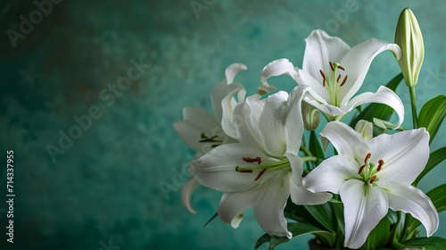 Lillies on a background