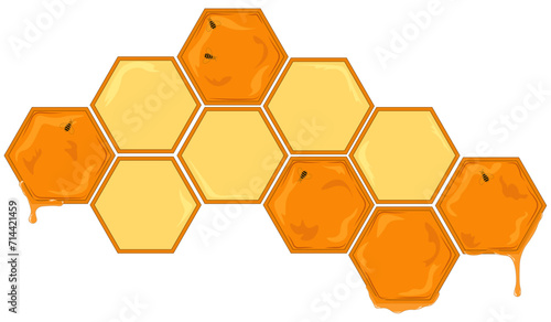 Hexagonal honeycomb shape pattern vector illustration