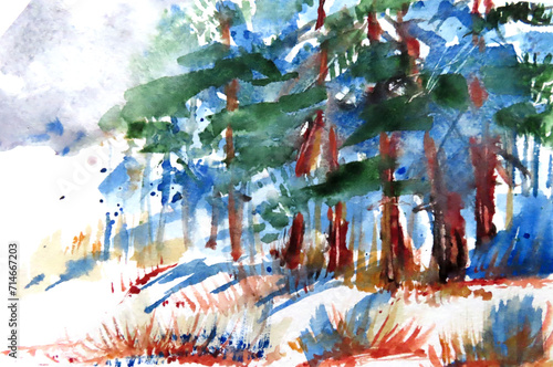 sunny winter day in pine forest, watercolor painting