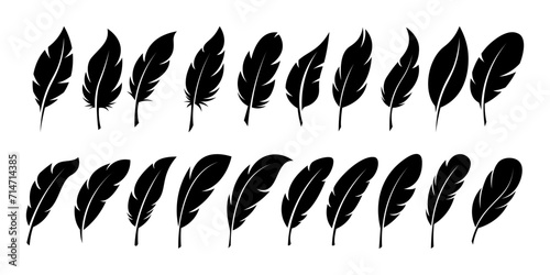 Set of Bird Feather. Feathers vector set in a flat style. Pen icon. Black quill feather silhouette. Plumelet collection isolated