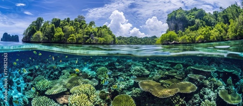 Raja Ampat, Indonesia, boasts abundant marine life, making it a popular spot for diving and snorkeling.