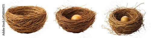 Collection of nests isolated on transparent or white background
