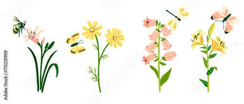 vector drawing garden flowers and butterflies, dragonfly and bumblebee at white background, hand drawn botanical illustration